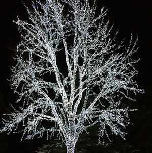 Meet your Posher, Audrey